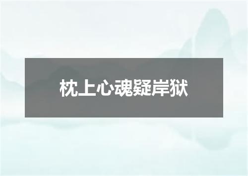 枕上心魂疑岸狱