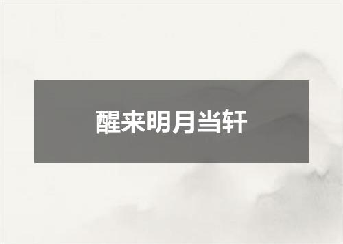醒来明月当轩