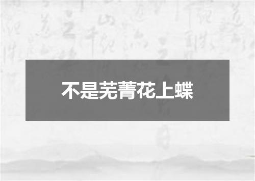 不是芜菁花上蝶