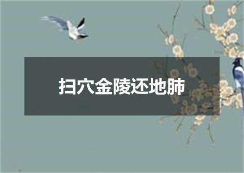 扫穴金陵还地肺