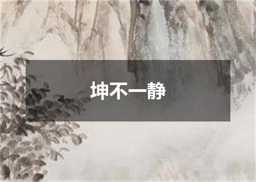 坤不一静