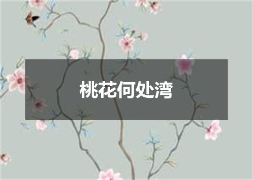 桃花何处湾