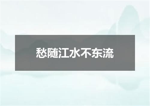 愁随江水不东流