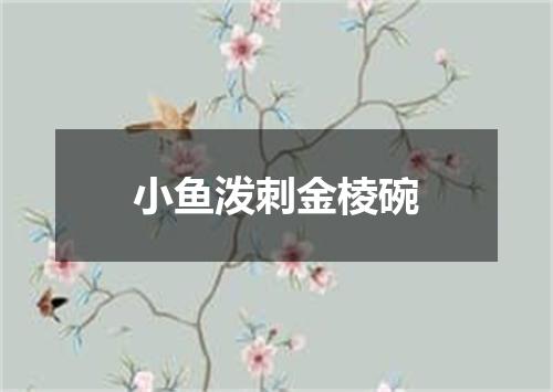 小鱼泼刺金棱碗