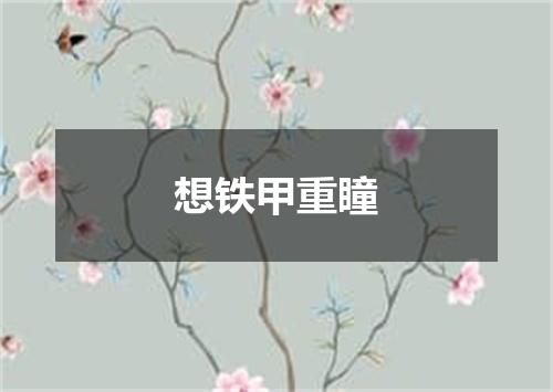 想铁甲重瞳