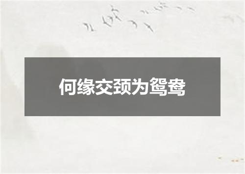 何缘交颈为鸳鸯