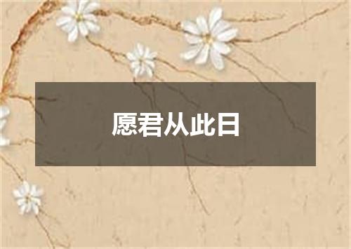 愿君从此日