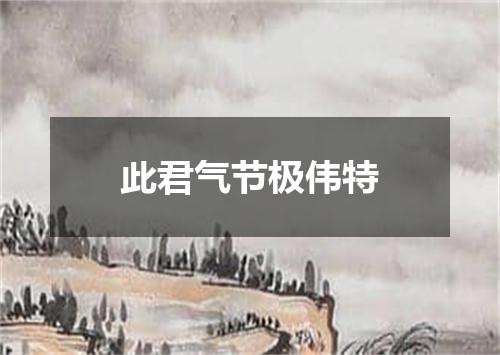 此君气节极伟特