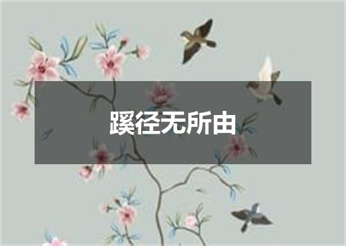 蹊径无所由