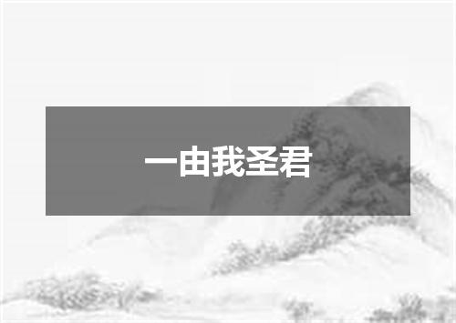 一由我圣君