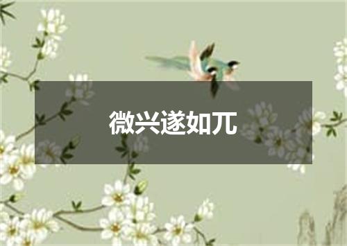 微兴遂如兀