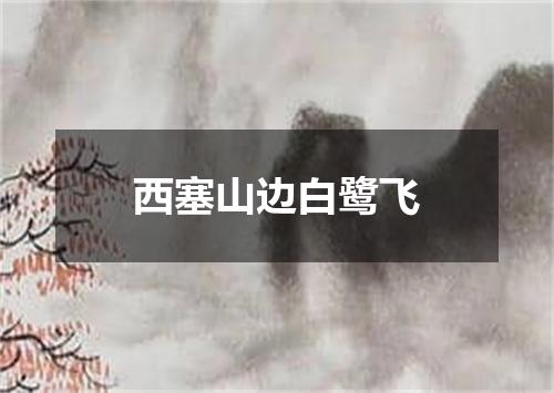 西塞山边白鹭飞