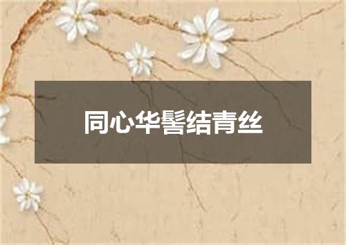 同心华髻结青丝