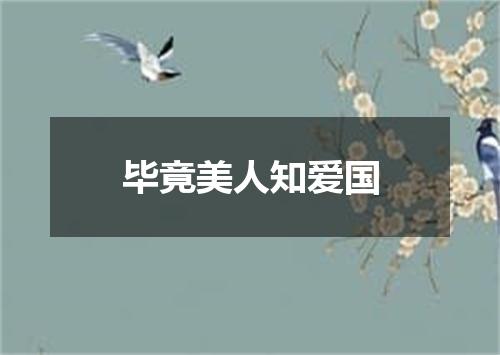 毕竟美人知爱国