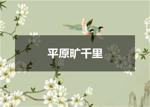 平原旷千里