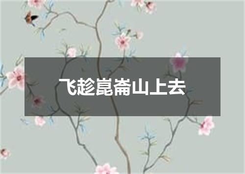 飞趁崑崙山上去