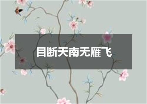 目断天南无雁飞