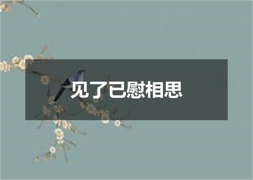 见了已慰相思