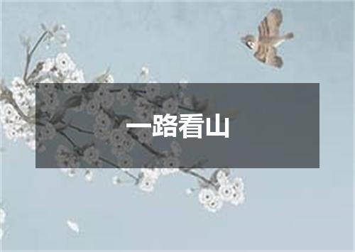一路看山
