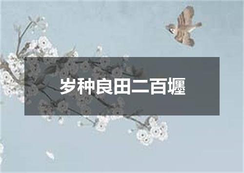 岁种良田二百壥