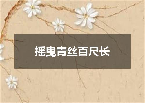 摇曳青丝百尺长