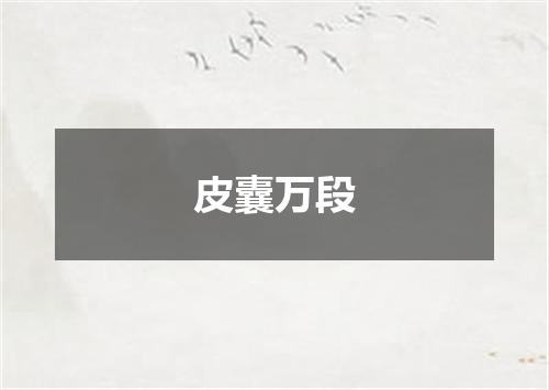 皮囊万段
