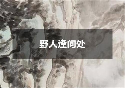 野人逢问处