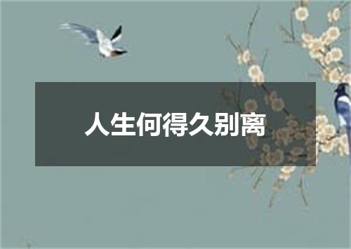 人生何得久别离
