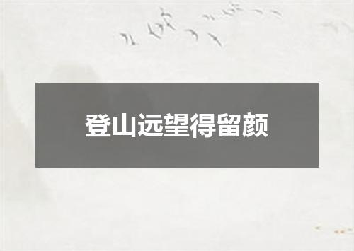 登山远望得留颜