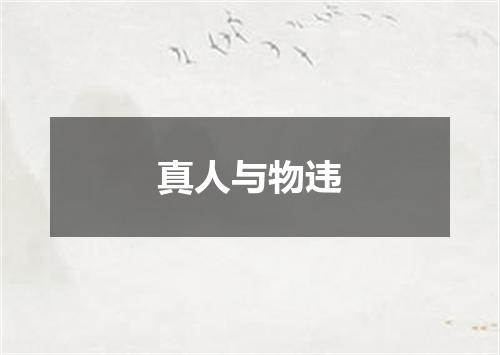 真人与物违