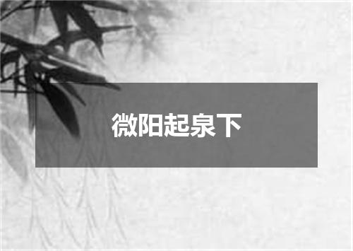 微阳起泉下