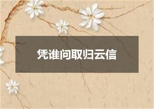 凭谁问取归云信