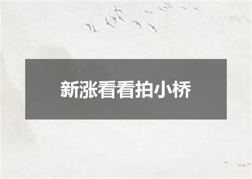 新涨看看拍小桥