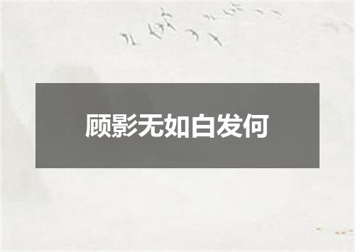 顾影无如白发何