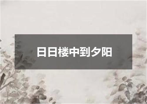 日日楼中到夕阳