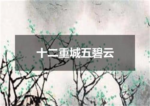 十二重城五碧云