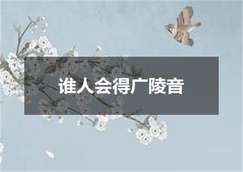 谁人会得广陵音