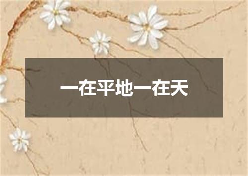 一在平地一在天