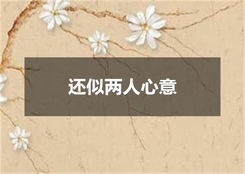 还似两人心意