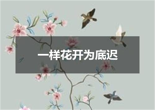 一样花开为底迟