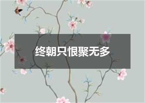 终朝只恨聚无多