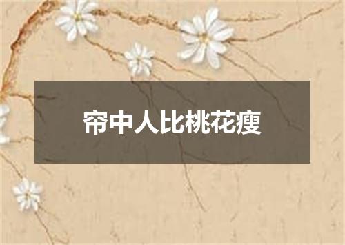 帘中人比桃花瘦