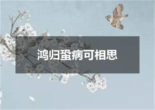 鸿归蛩病可相思