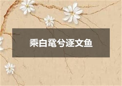 乘白鼋兮逐文鱼