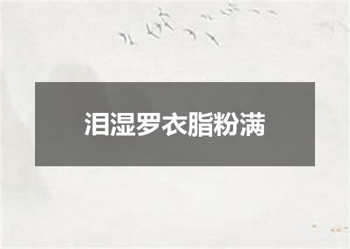 泪湿罗衣脂粉满