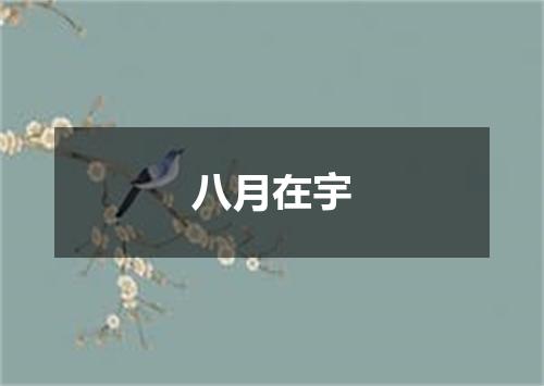八月在宇