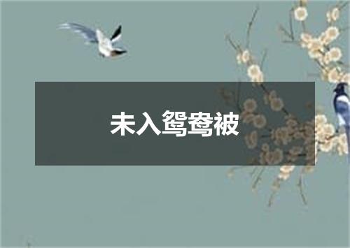 未入鸳鸯被