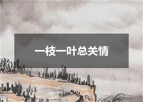 一枝一叶总关情