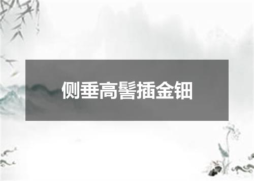 侧垂高髻插金钿