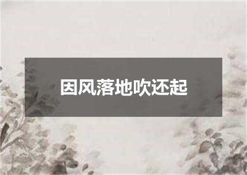 因风落地吹还起